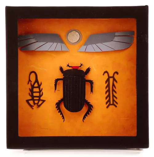 Egyptian Scarab (Dung Beetle), Megan Brain