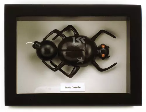 Bomb Beetle, Michelle Valigura