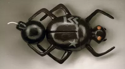 Bomb Beetle, Michelle Valigura