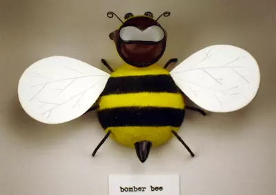 Bomber Bee, Michelle Valigura