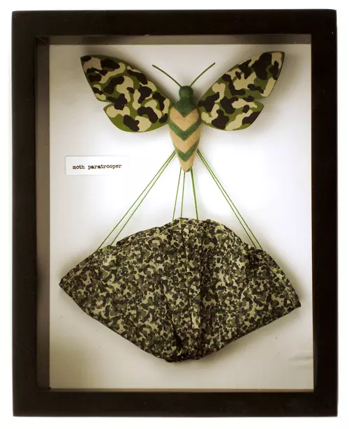 Moth Paratrooper, Michelle Valigura
