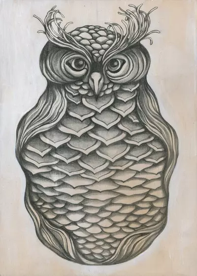Owl Pod, ZSO