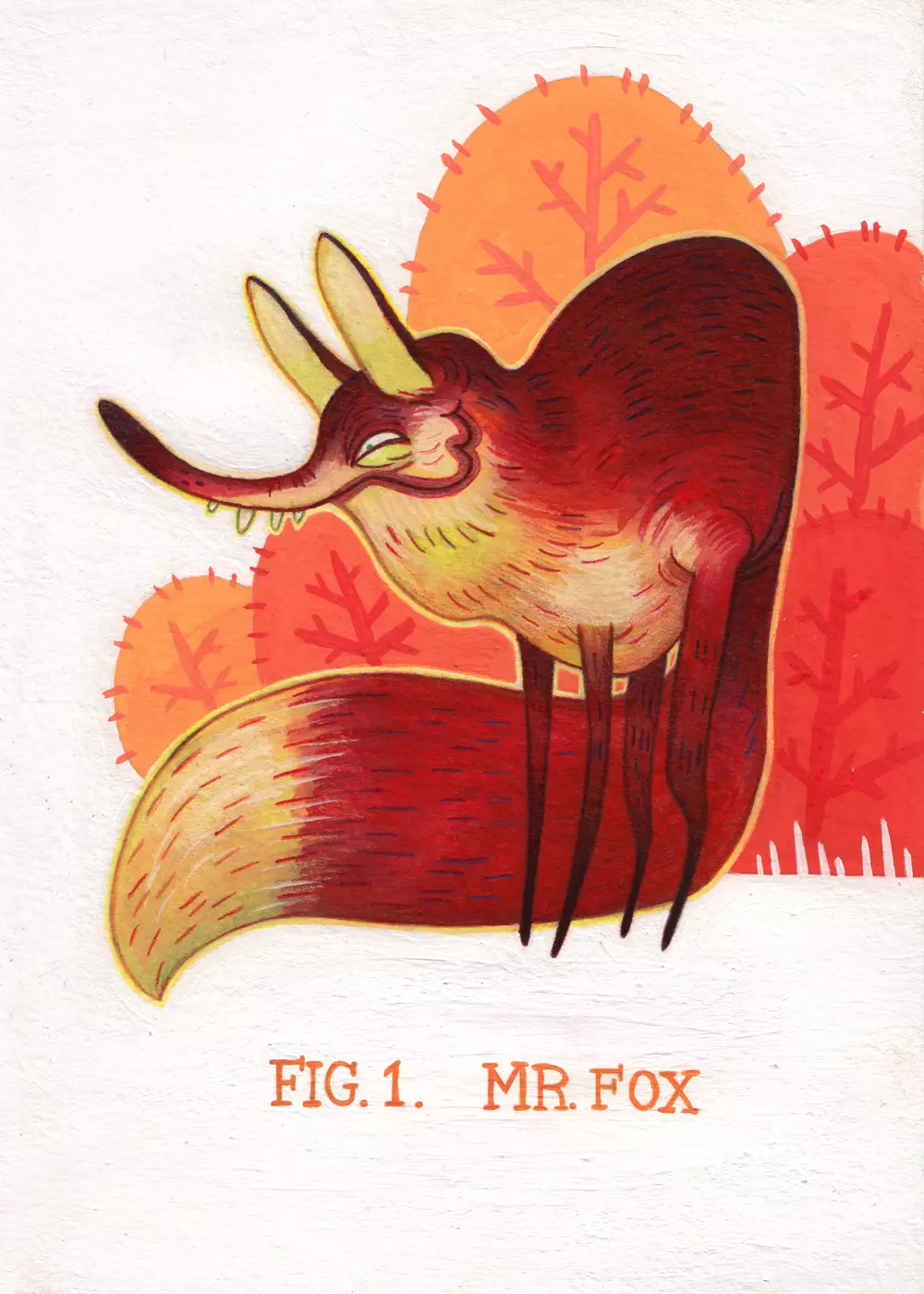 FIG. 1. MR. FOX, Tim Mack