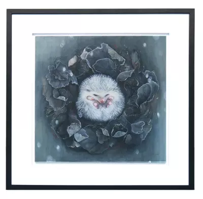 Hedgehog, Marjolein Caljouw