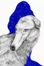 Let me draw your dog