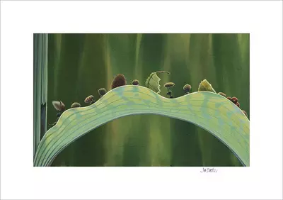 The Leaf Bridge by Tia Kratter (A Bug's Life)