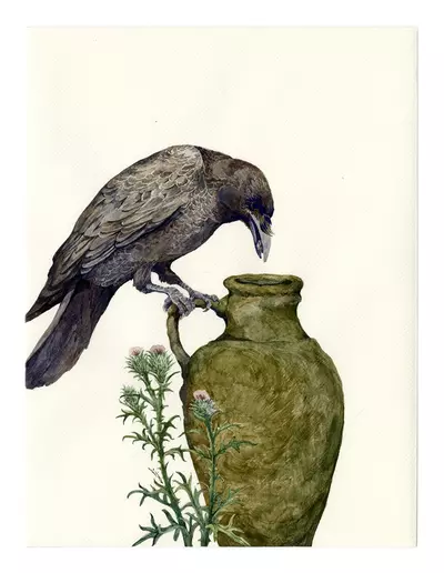 The Crow and the Pitcher, Lily Seika Jones