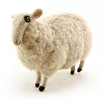 Small Sheep