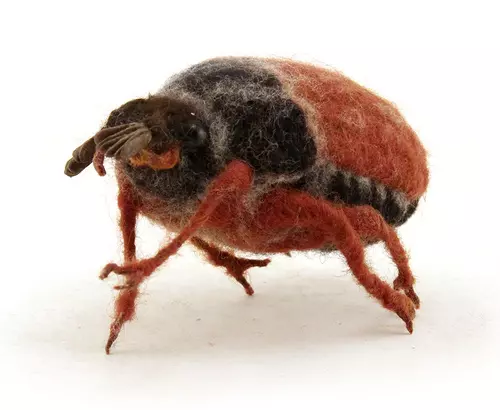 Beetle, Grisha Dubrovsky