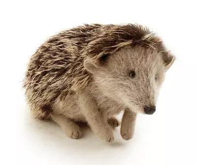 Hedgehogs (1/2), Natasha Fadeeva