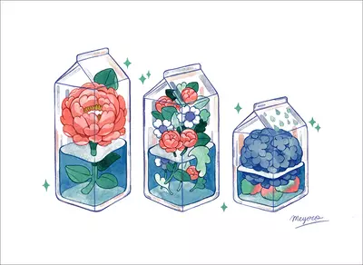 Floral Milkboxes (print), Meyoco