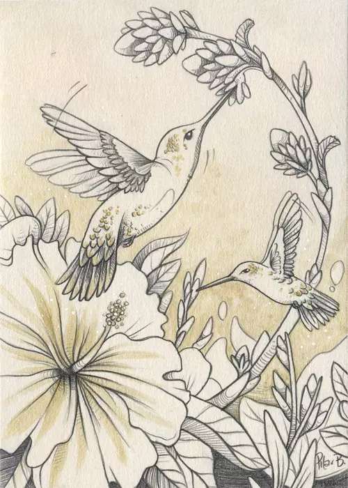 Hummingbird, Pilar Berrío