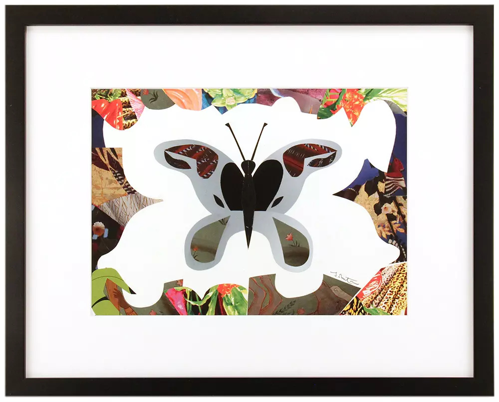 Butterfly 1, Teddy Newton