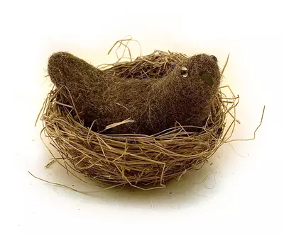 Bird in a Nest, Victor Dubrovsky