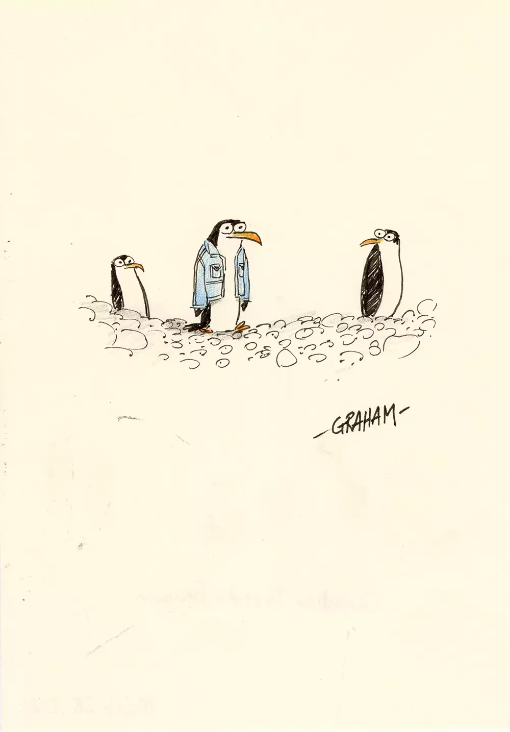 Canadian Tuxedo Penguin, Graham Annable