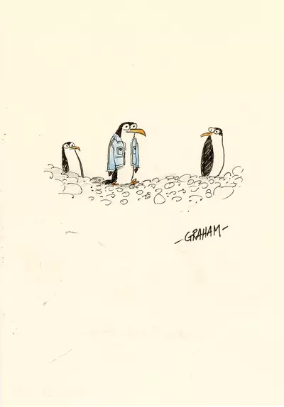 Canadian Tuxedo Penguin, Graham Annable