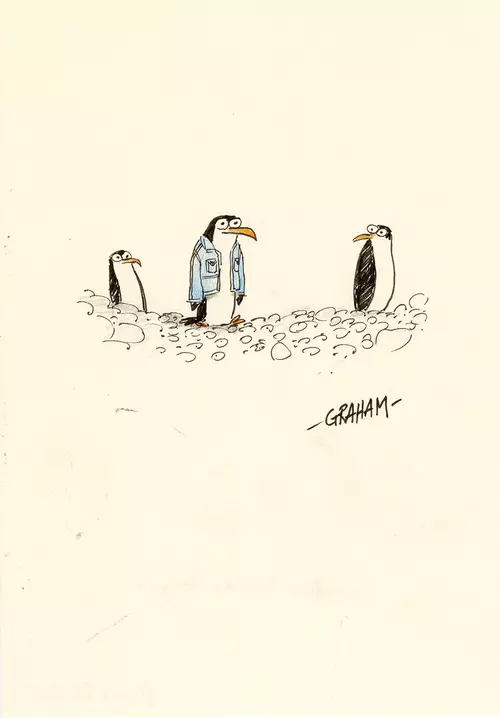 Canadian Tuxedo Penguin, Graham Annable