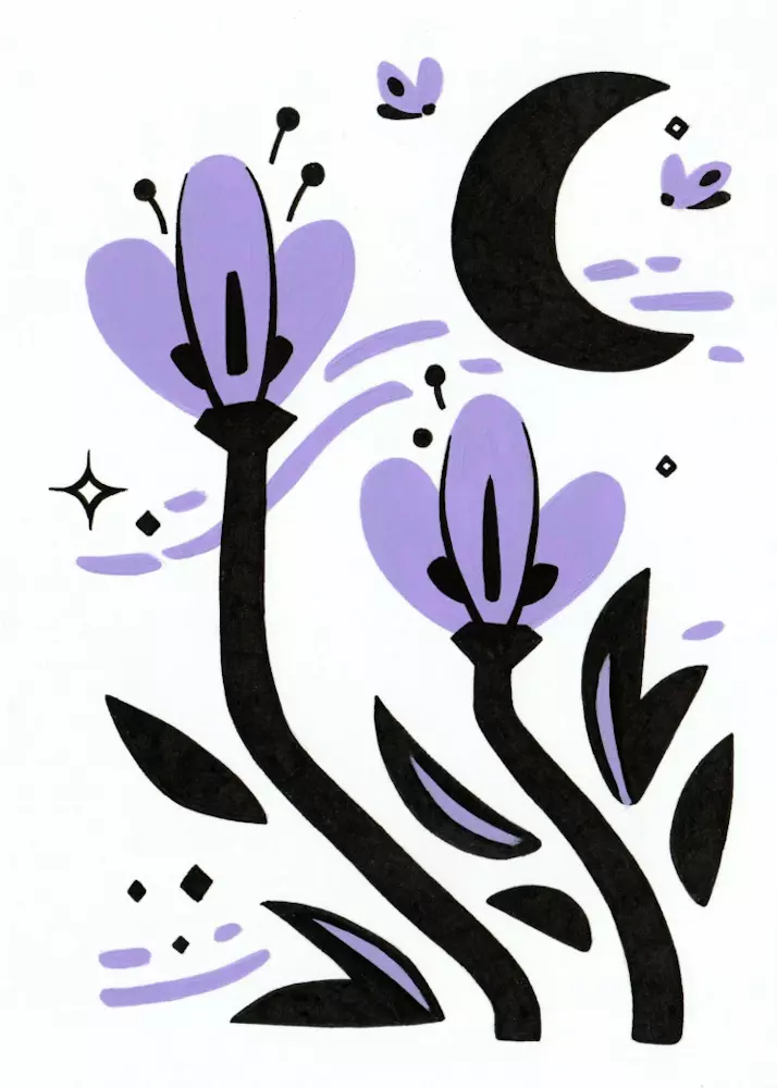 Midnight Garden (Purple), Sam Borg