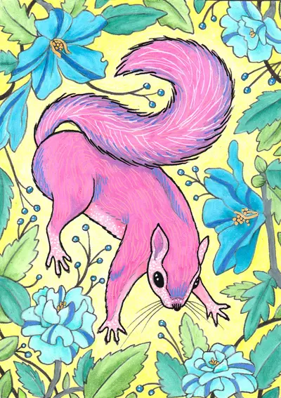 Pink Squirrel, Julie Kitzes