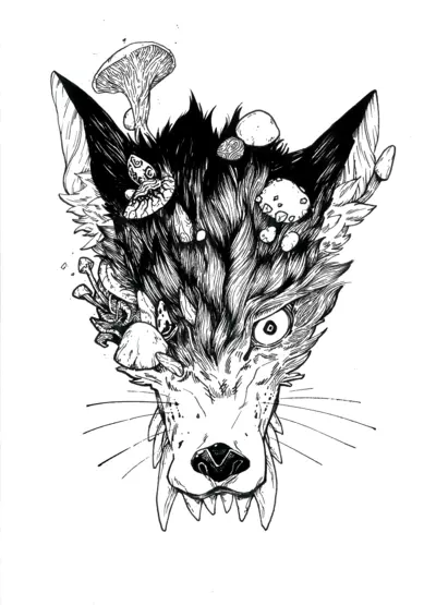 THE WOLF, Andrew Kim