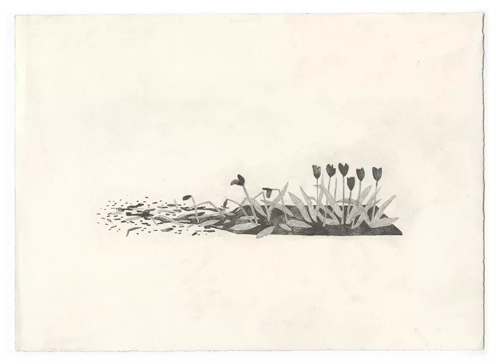PAX spot art (tulips), Jon Klassen
