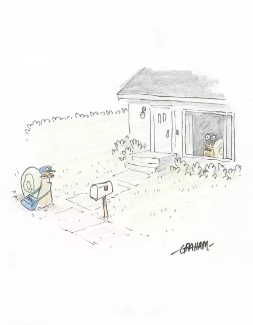 Doodle 9 - snail mail, Graham Annable