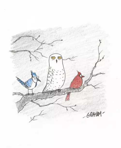 Doodle 23 - Bleu, Blanc et Rouge, Graham Annable