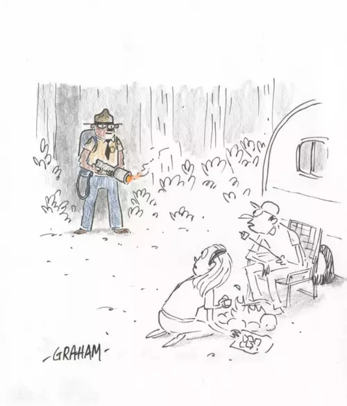 Doodle 35 - Smokey the Bear with a flamethrower , Graham Annable