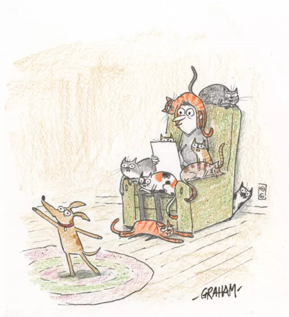 Doodle 48 - Live drawing, Graham Annable