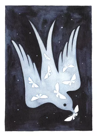 Bird and Moths, Nora Aoyagi