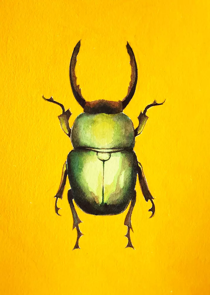 Green Beetle, Felicity  Frobom