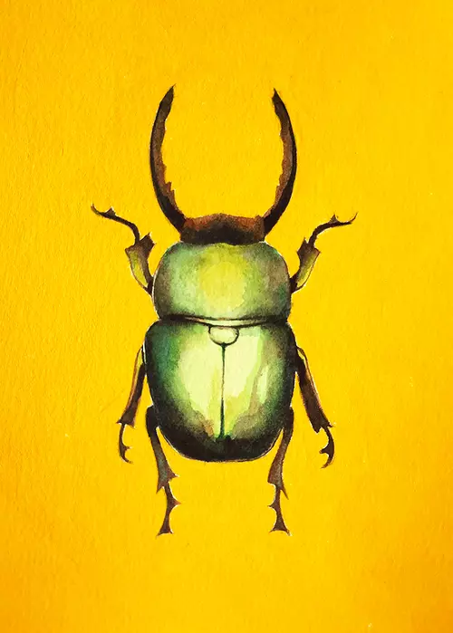 Green Beetle, Felicity  Frobom