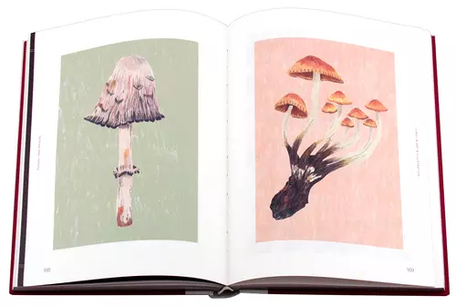 Fungal Inspiration – viction:ary