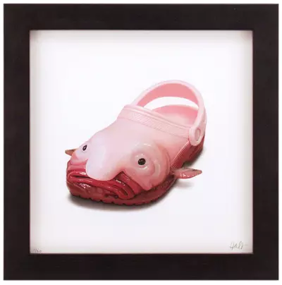 Blobfish Croc [Framed, Edition #1 of 30], Akiko Stehrenberger