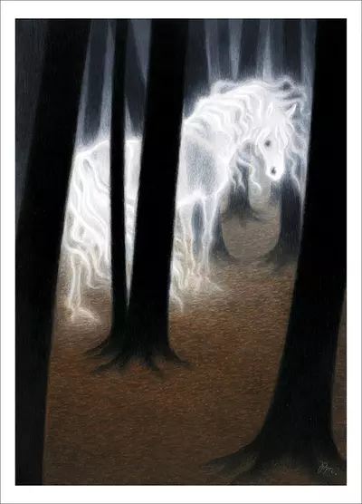 The Phantom Horse (PRINT), Paula Mela