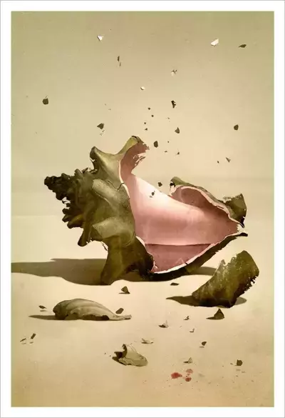 The Shattered Conch (PRINT), Sam Weber