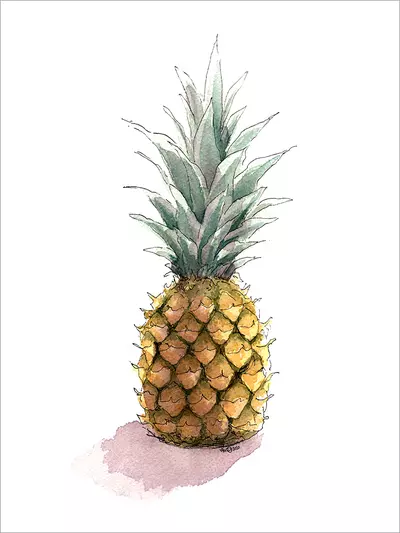 Pineapple [PRINT], Yael Givon