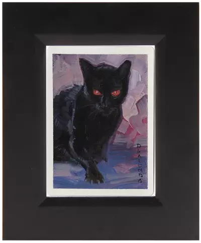 Black Cat, David Palumbo
