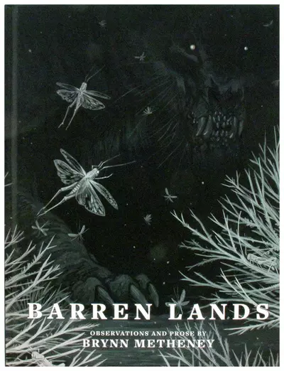 Barren Lands, Brynn Metheney