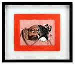 Bodhidharma 菩提達磨