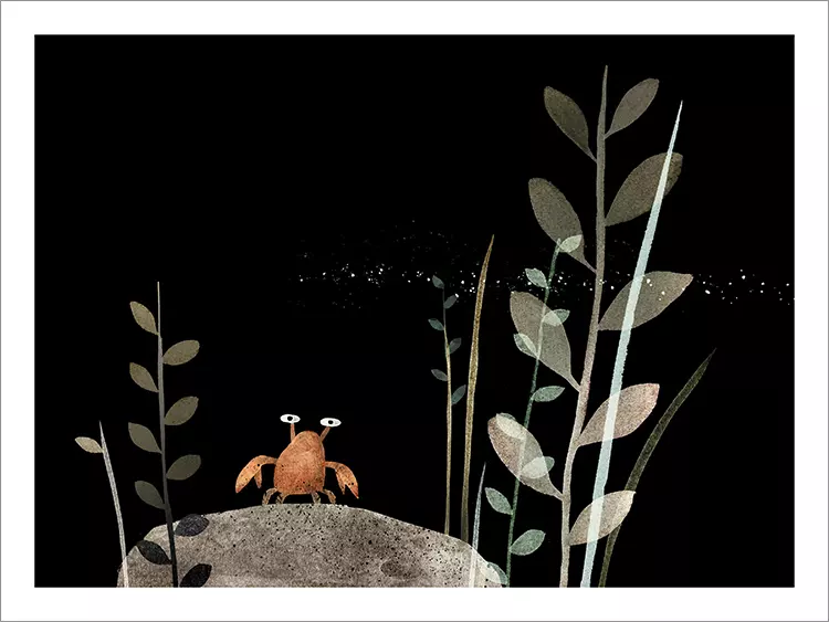 Untitled by Jonnie Craig ジョニー・クレイグ Jonnie Craig Will Kick You in the Head with His Energy Legs