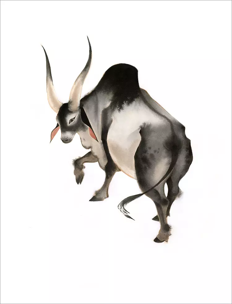 Alambadi Cow [PRINT], Camille André