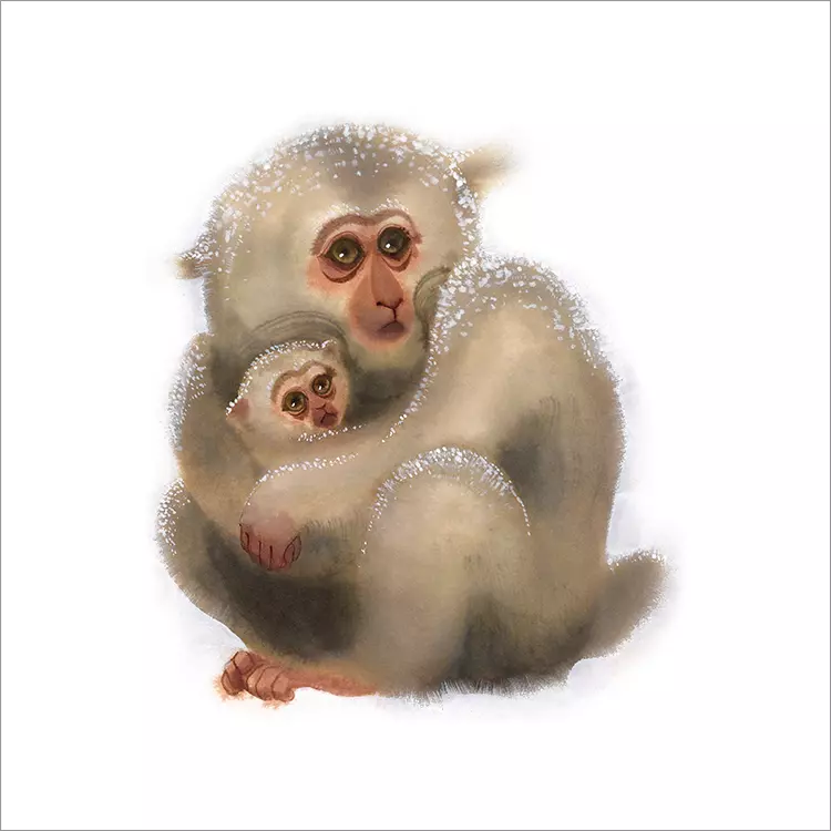 Japanese Macaque and Baby [PRINT], Camille André