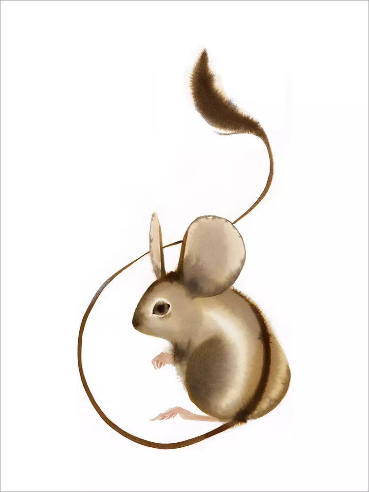 Jerboa [PRINT], Camille André
