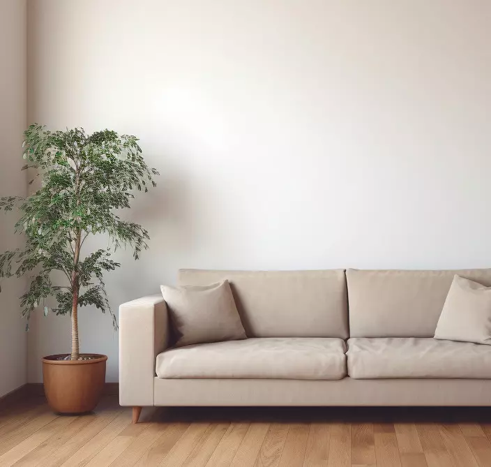 Test purchase, Gallery Nucleus