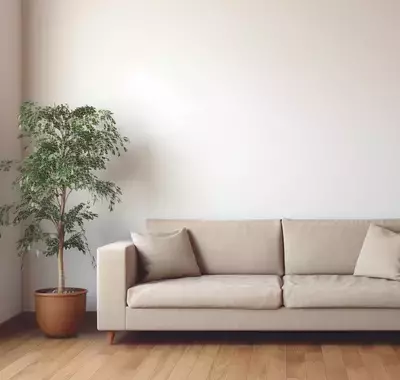 Test purchase, Gallery Nucleus