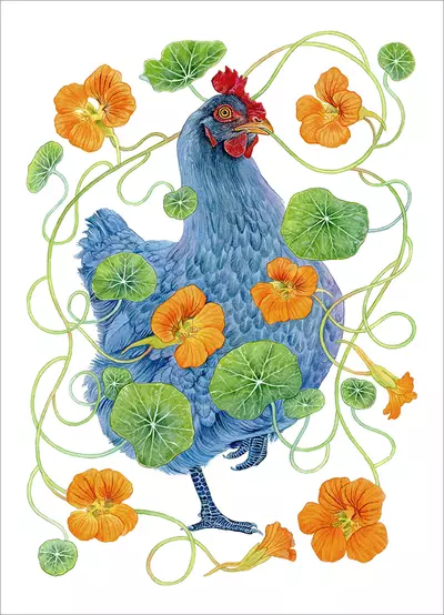 Blue Hen and Nasturtiums [PRINT], Léa Chaillaud