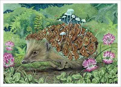 What Hides in the Clover [PRINT], Léa Chaillaud