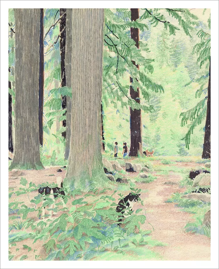 Forest Hike [PRINT], kokooma
