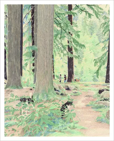 Forest Hike [PRINT], kokooma